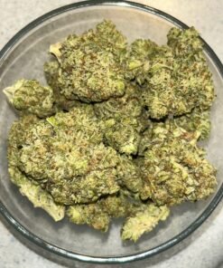 Super Runts Preferred (User Video)