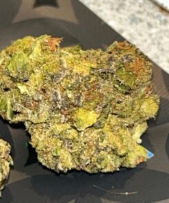 Gorilla Butter (User Video)