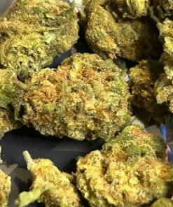 Super Runts (Smalls)