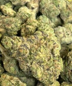 Alternative view of War Heads