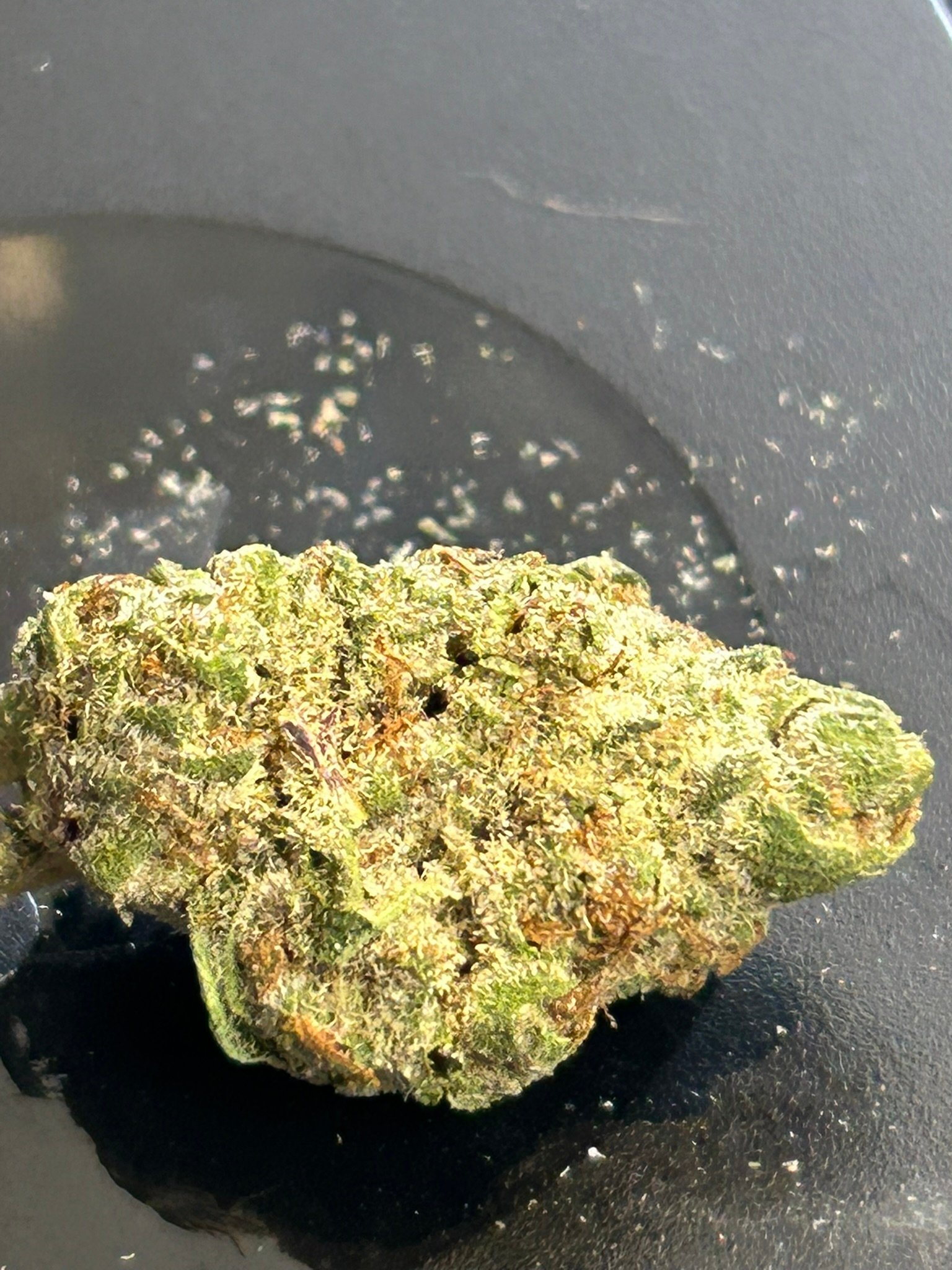 Oreoz indoor (user pics) - Image 2