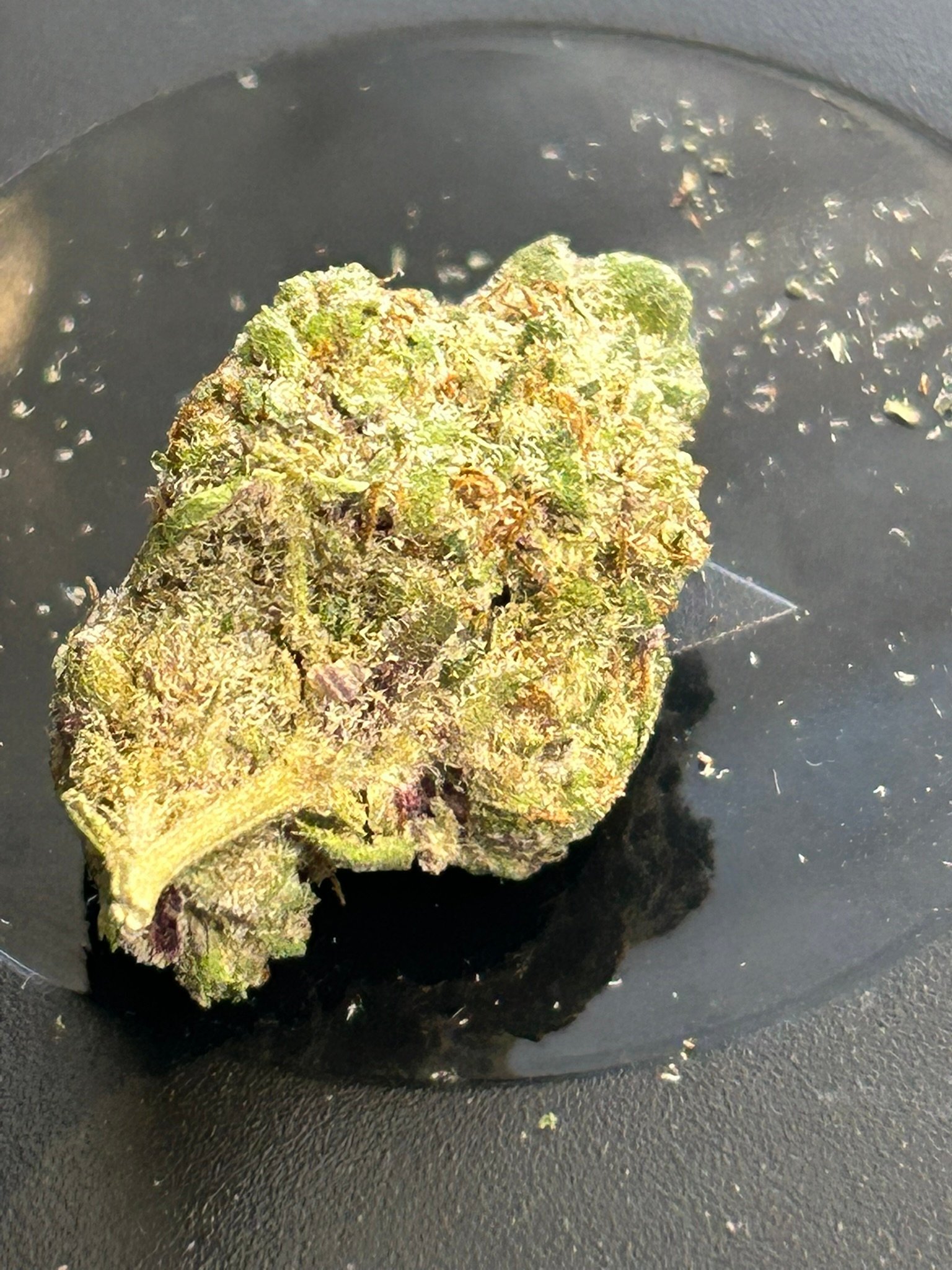 Oreoz indoor (user pics) - Image 3