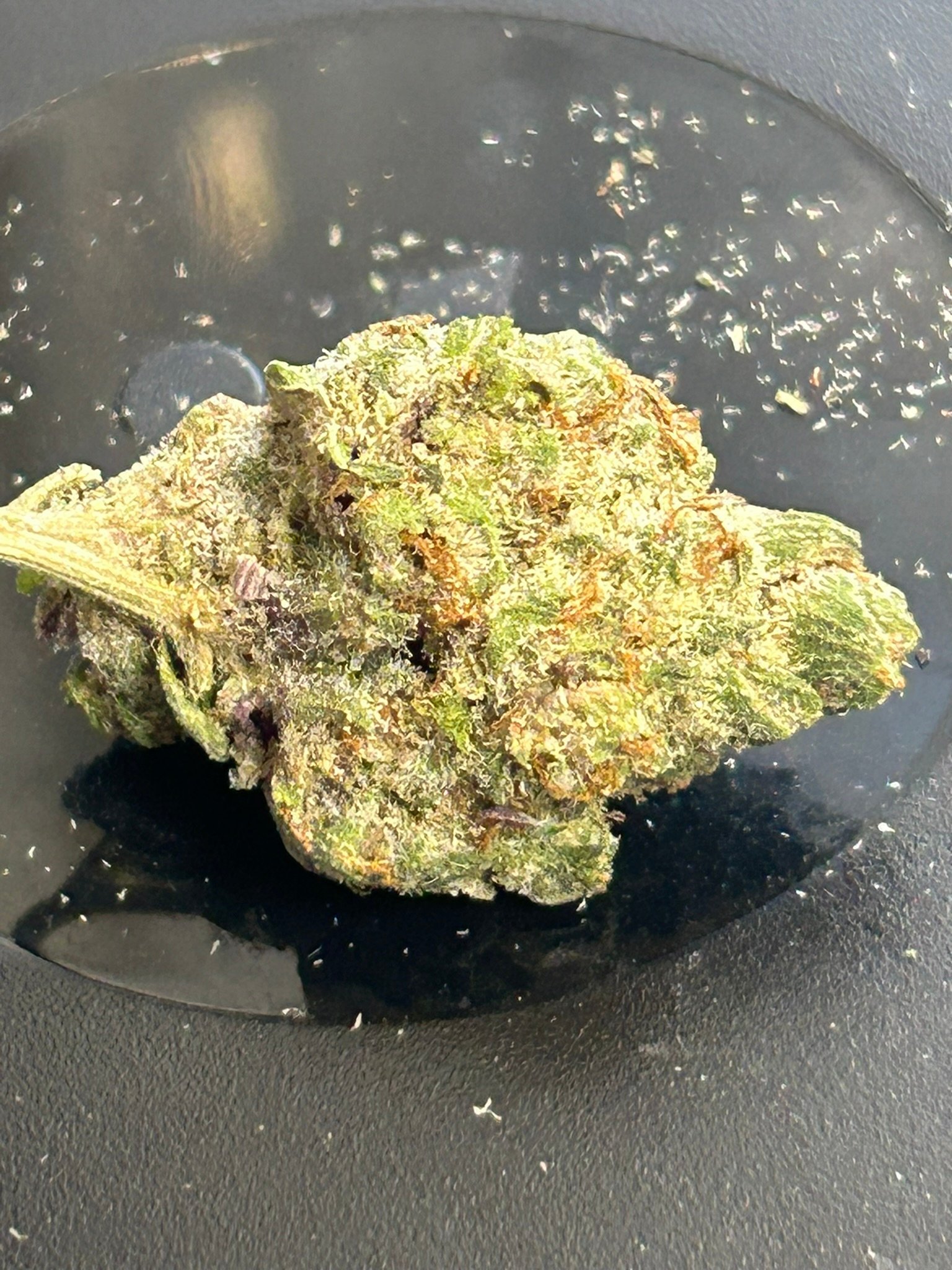 Oreoz indoor (user pics) - Image 4