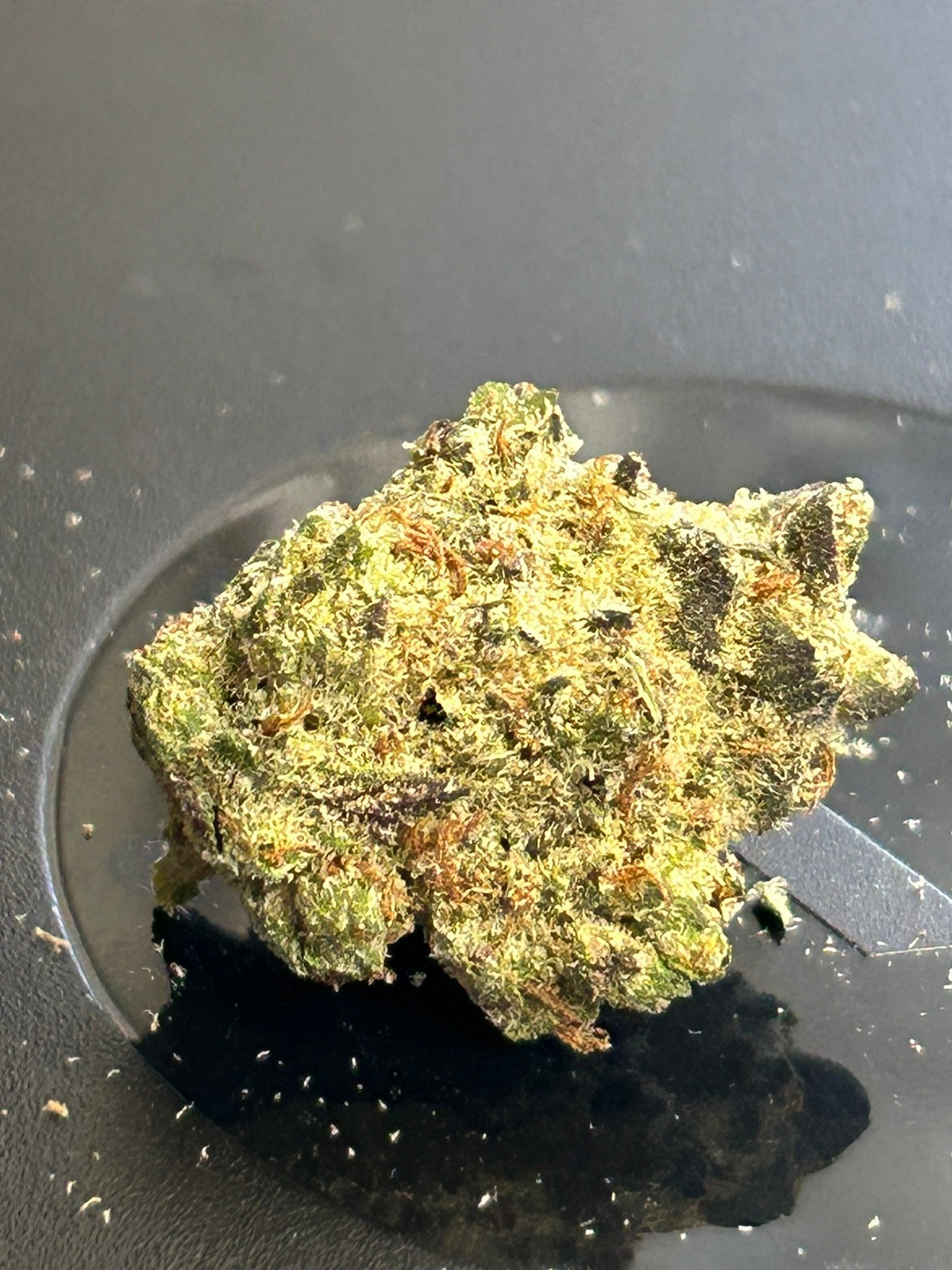 Oreoz indoor (user pics) - Image 5