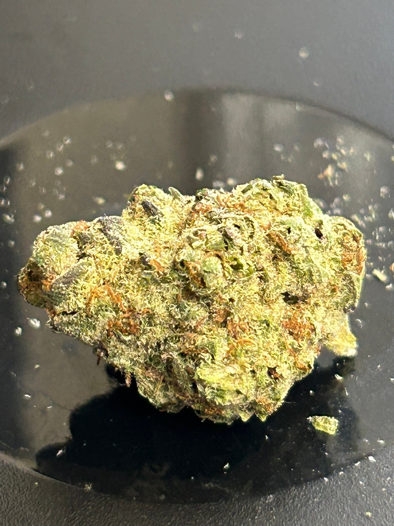 Oreoz indoor (user pics) - Image 9