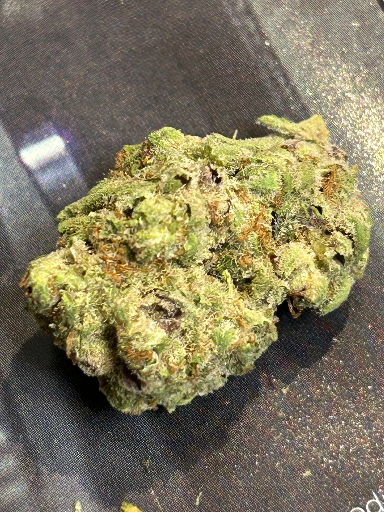 Oreoz indoor (user pics)