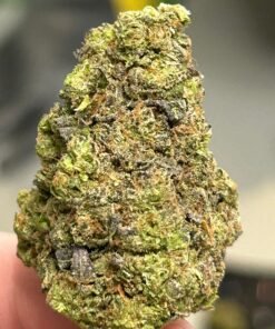 Sharpiez (User Video)